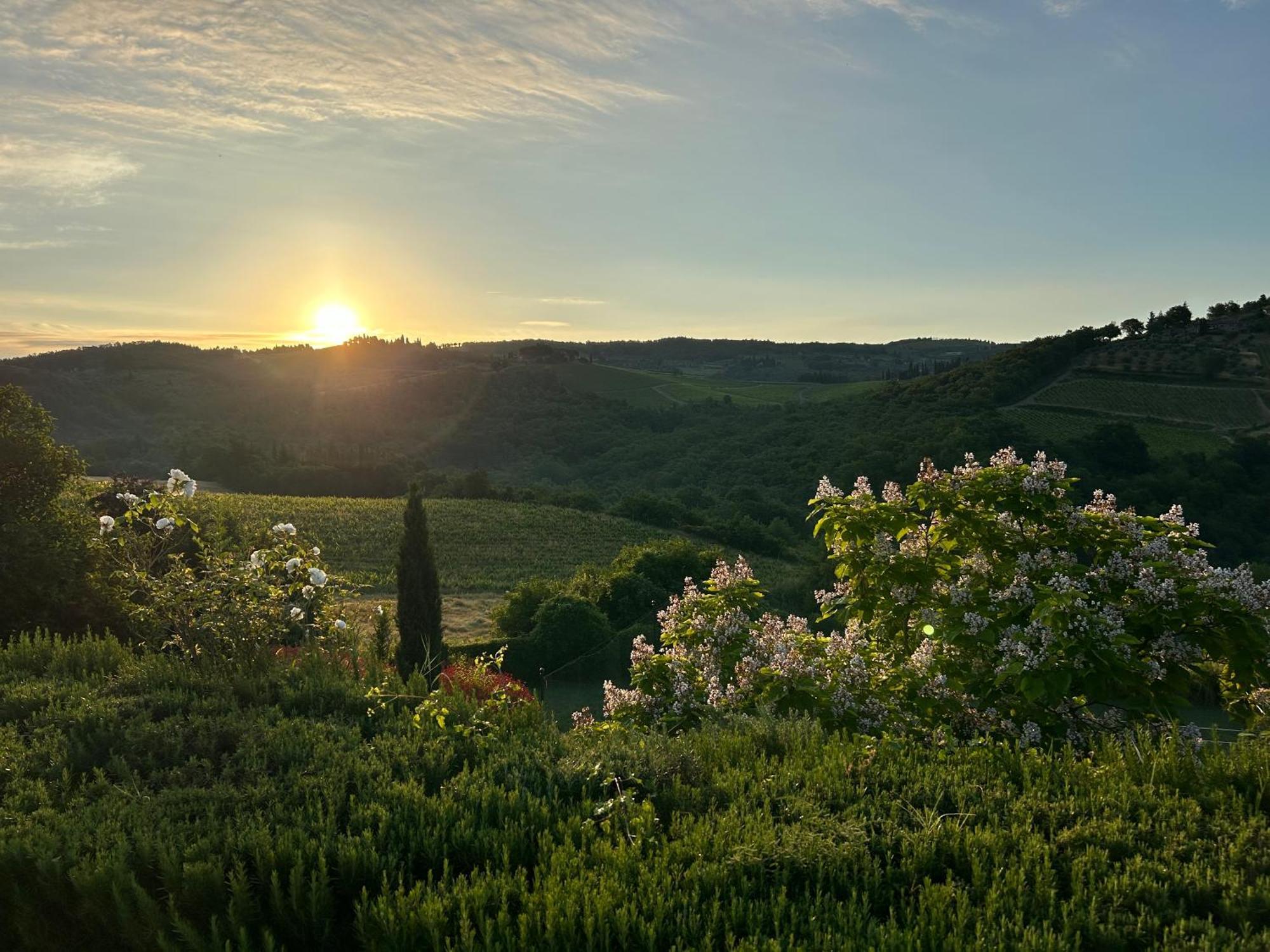 Rignana Estate Greve in Chianti Exterior foto